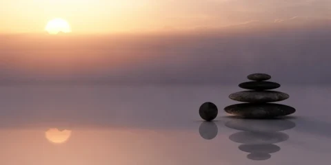 Wellness Stones